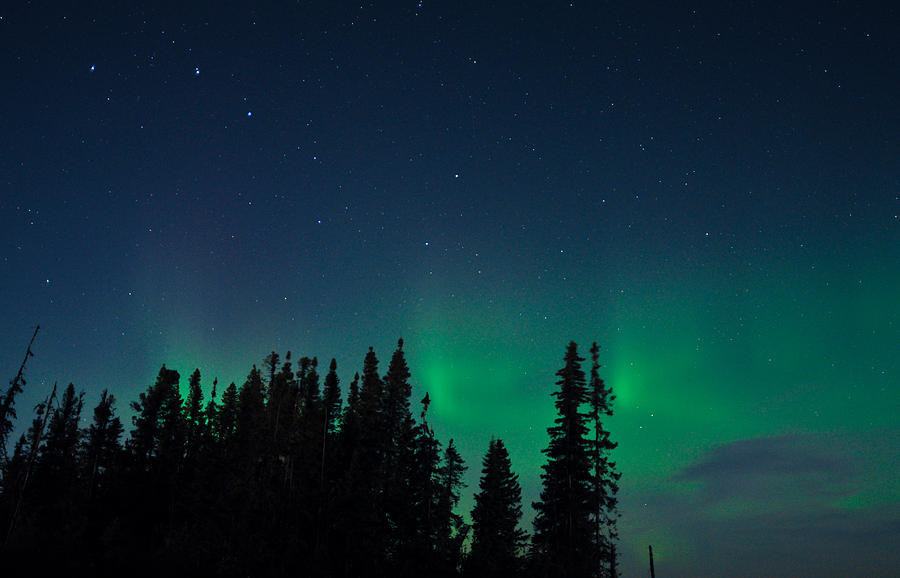 Aurora, Quebec 16 by Carl Young Aurora, Quebec 16 by Carl Young