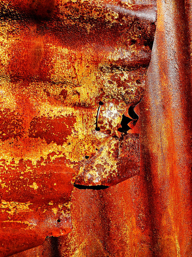 Aussie Galvanised Iron #25 Photograph by Lexa Harpell