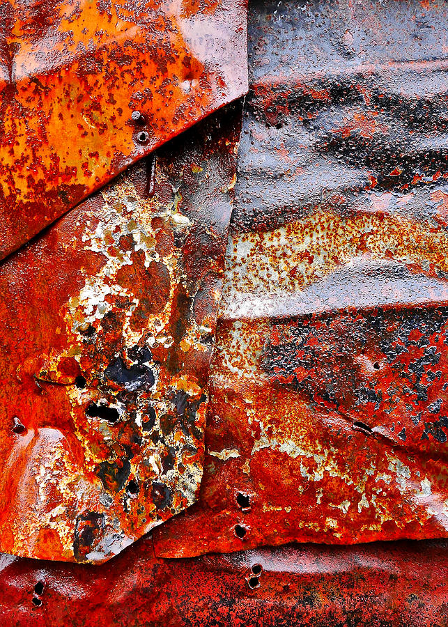 Aussie Galvanised Iron #41 Photograph by Lexa Harpell