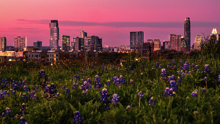 Austin Pink Photograph by Johnny Boyd