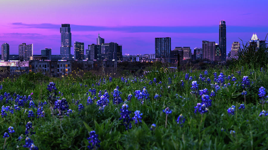 Austin Skyline Blues Photograph by Johnny Boyd