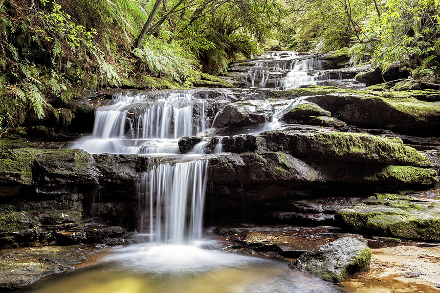 Australia, New South Wales, Blue Mountains National Park, Greater, Area, Katoomba, Luera Cascades Waterfall In The Blue Mountains Main Tourist Centre Of Katoomba Digital Art by Brook Mitchell