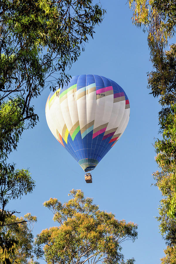 Australia, New South Wales, Hunter Valley, Ballooning Over Polbokin, The Tourist Centre Of The Hunter Valley Digital Art by Brook Mitchell