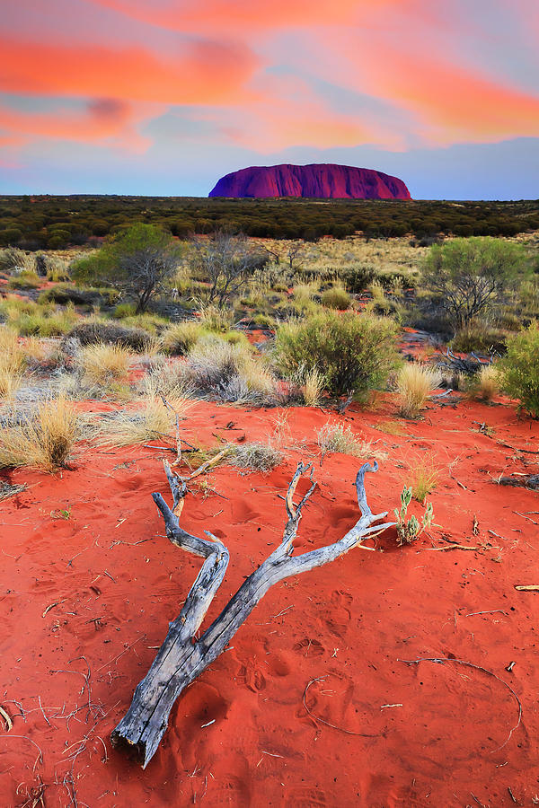 Australia, Northern Territory, Oceania, Ayers Rock Digital Art by Maurizio Rellini