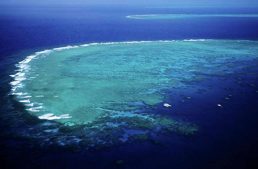 Australia, Queensland, Great Barrier Photograph by Gardel Bertrand / Hemis.fr Australia, Queensland, Great Barrier Photograph by Gardel Bertrand / Hemis.fr