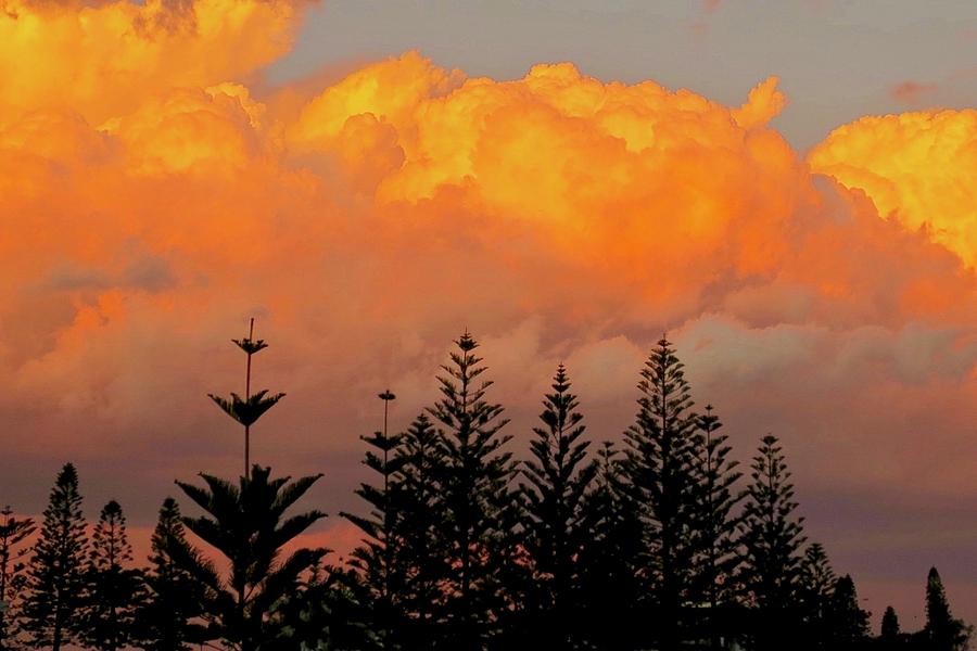 Australia Sunset Photograph by Sarah Lilja