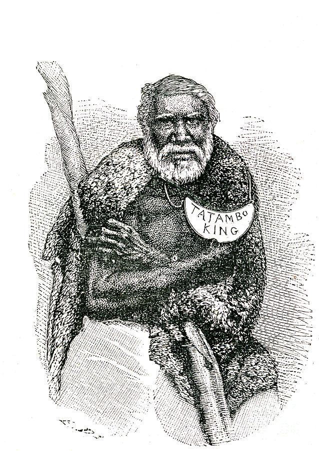Australian Aboriginal Chief Photograph by Collection Abecasis/science