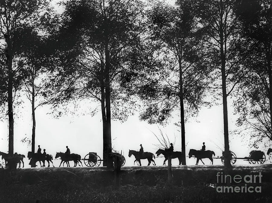 Horse Photograph - Australian Artillery Limbers Loaded With Ammunition Proceeding Along The Ypres Road, 1917 by Australian Photographer