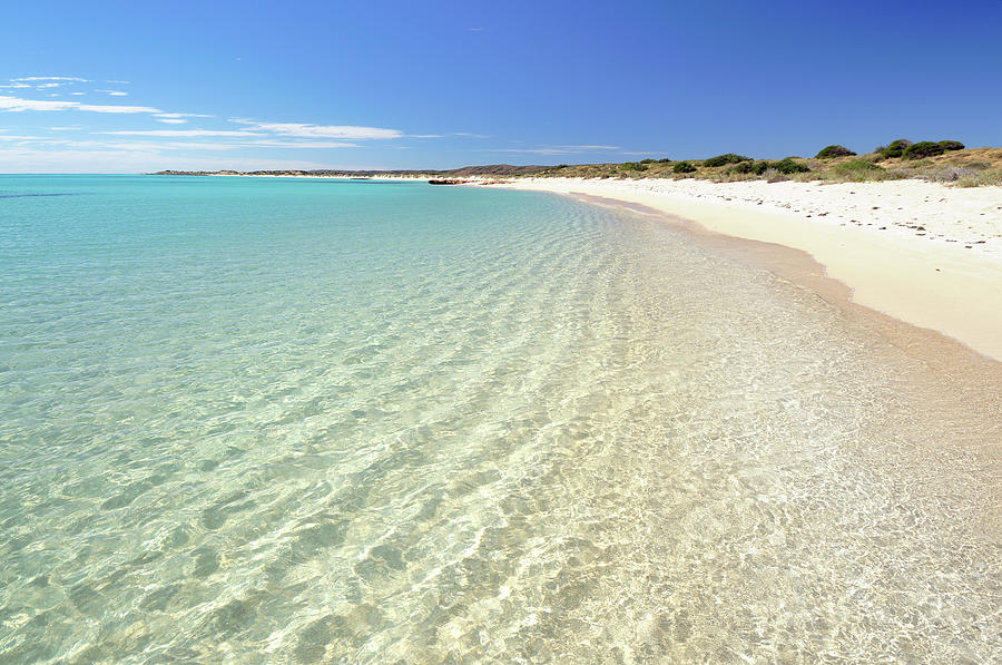 Australian Beach Paradise Photograph by Georgeclerk