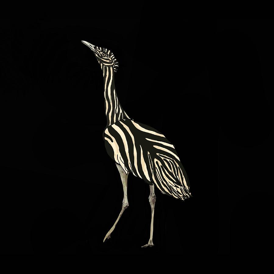 Australian Bustard Zebra dressed in Black Drawing by Joan Stratton