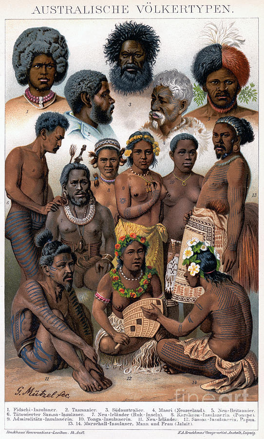 Australian Inhabitants Drawing by Print Collector