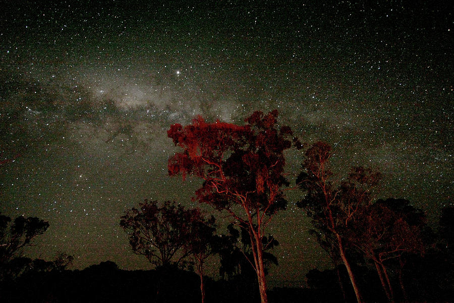 Australian Night Photograph by Paco Alcantara