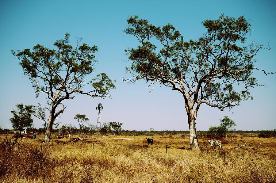 Australian Rural Landscape Photograph by Carolyn Hebbard