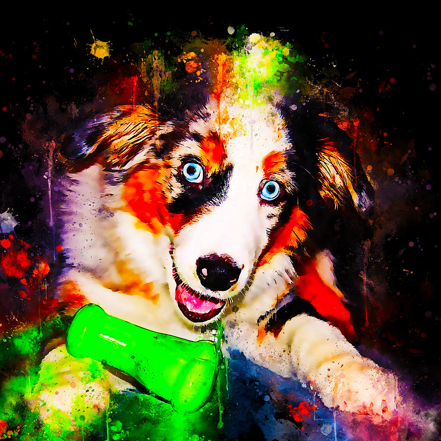 Australian Shepherd Aussie Dog Puppy Ws Std Digital Art by Gxp-Design