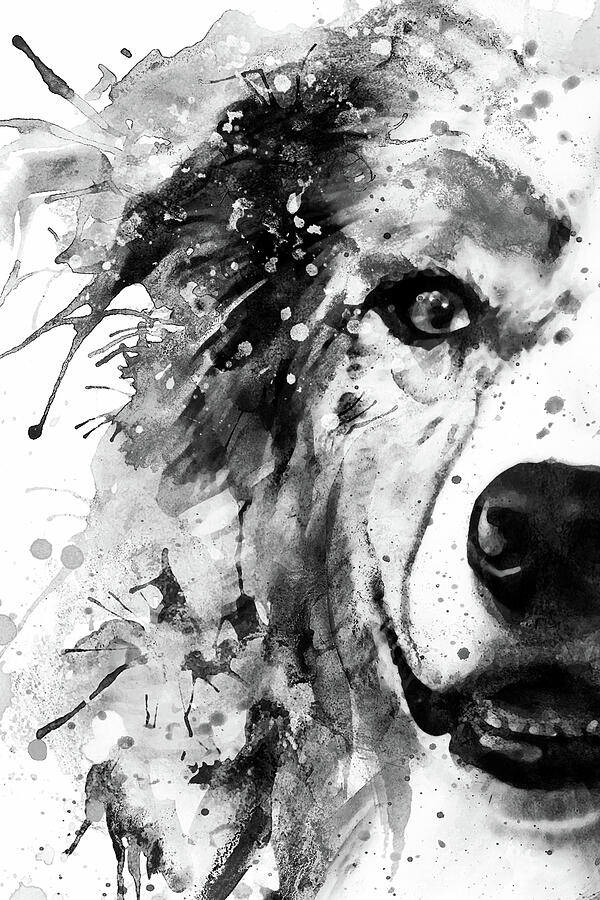 Australian Shepherd Dog Half Face Portrait Painting by Marian Voicu