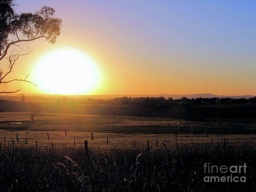 Australian Sunset Photograph by Elaine Manley