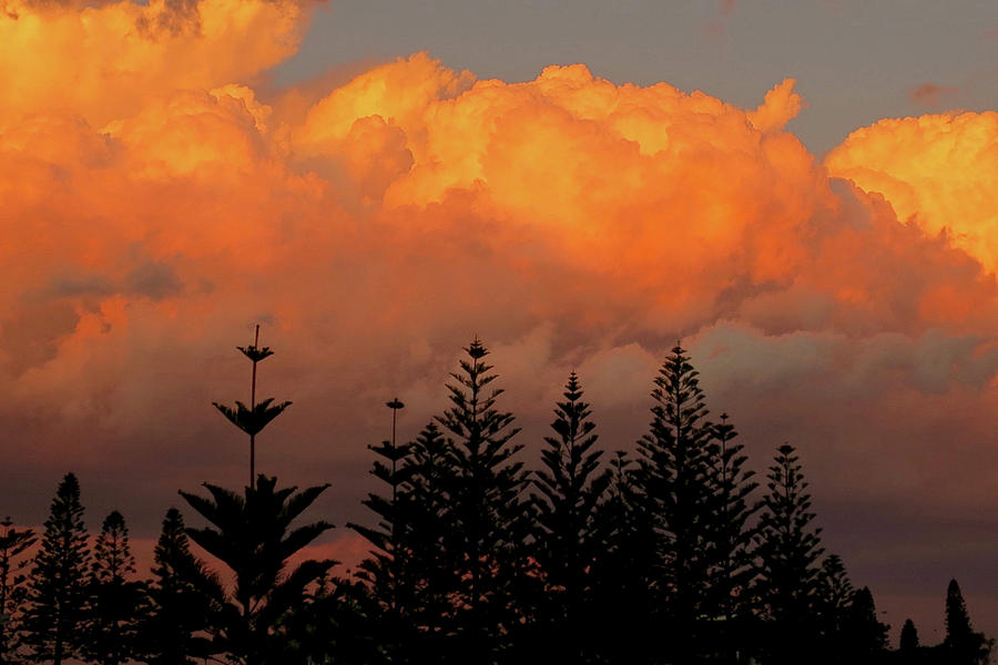 Australian Sunset by Sarah Lilja Australian Sunset by Sarah Lilja