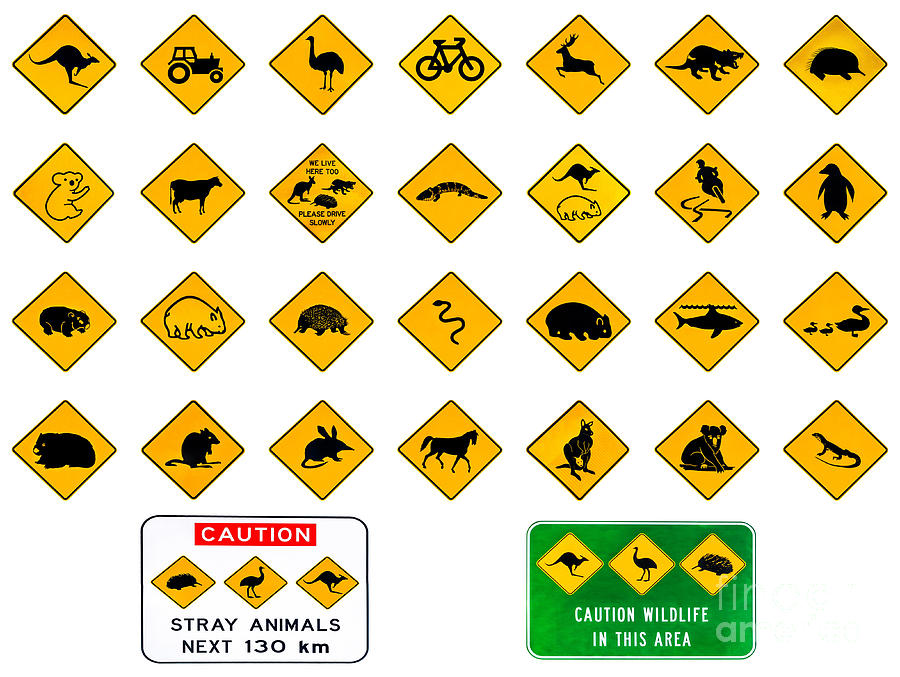 australian-warning-signs-photograph-by-benny-marty