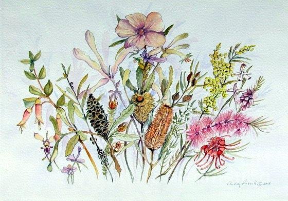 Australian Wildflowers Painting by Audrey Russill - Pixels