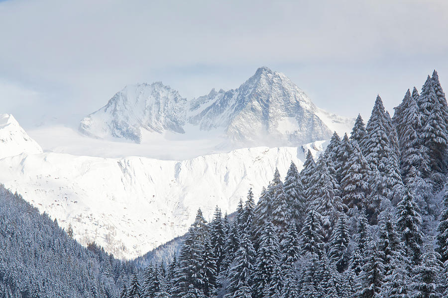 Austria, Kals, Grossglockner Mountain by Franz Pritz