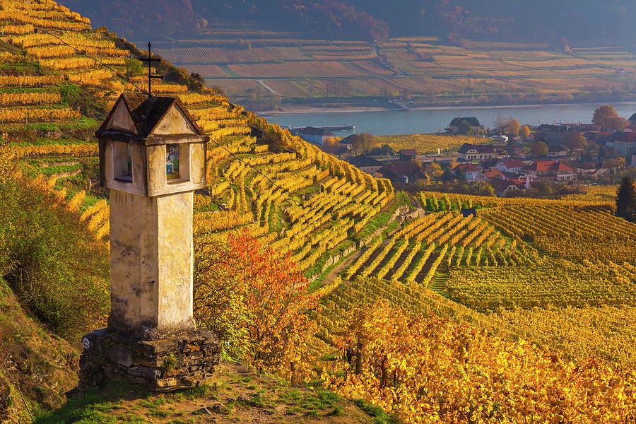 Austria, Lower Austria, Wachau, Spitz, Roten Tor Vineyards Digital Art by Olimpio Fantuz