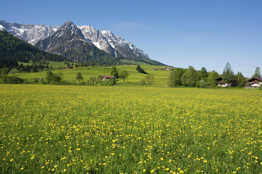 Austria, Tyrol, Kaisergebirge Photograph by Westend61