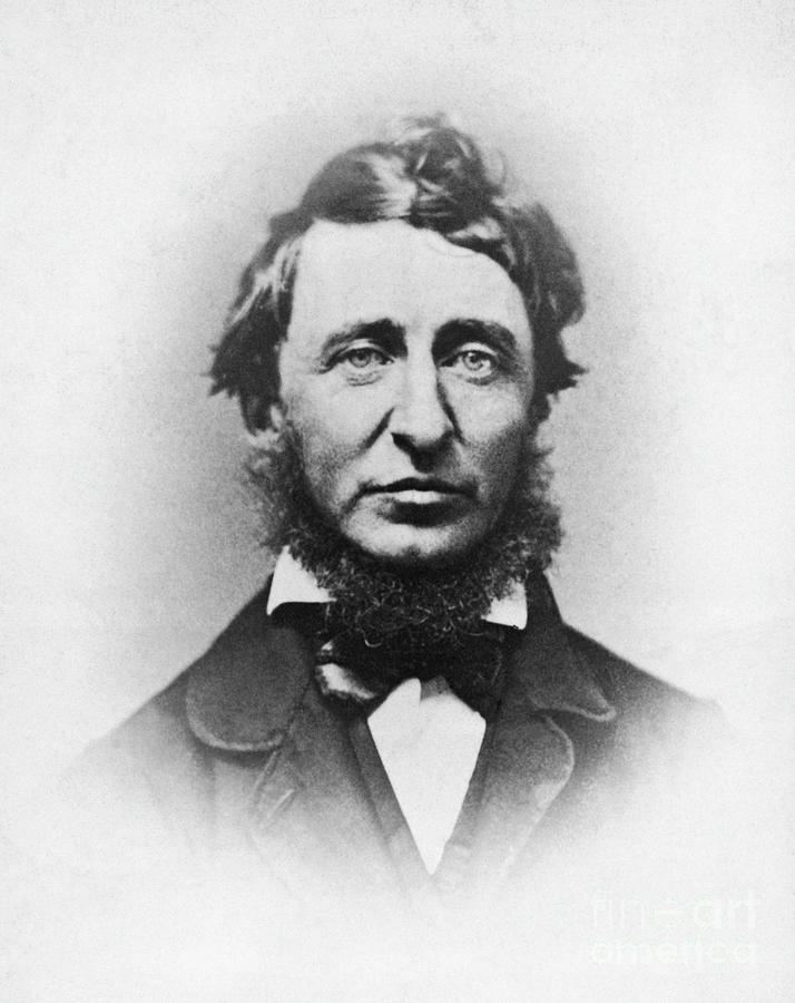 Author Henry David Thoreau Photograph by Bettmann