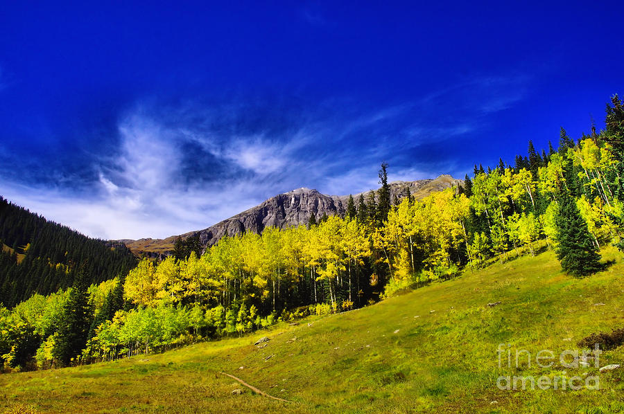 Fall Photograph - Autum beauty in Colorado  by Jeff Swan