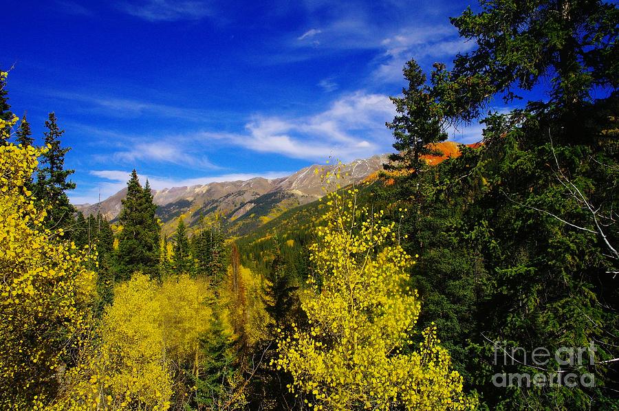 Autum in Colorado  Photograph by Jeff Swan