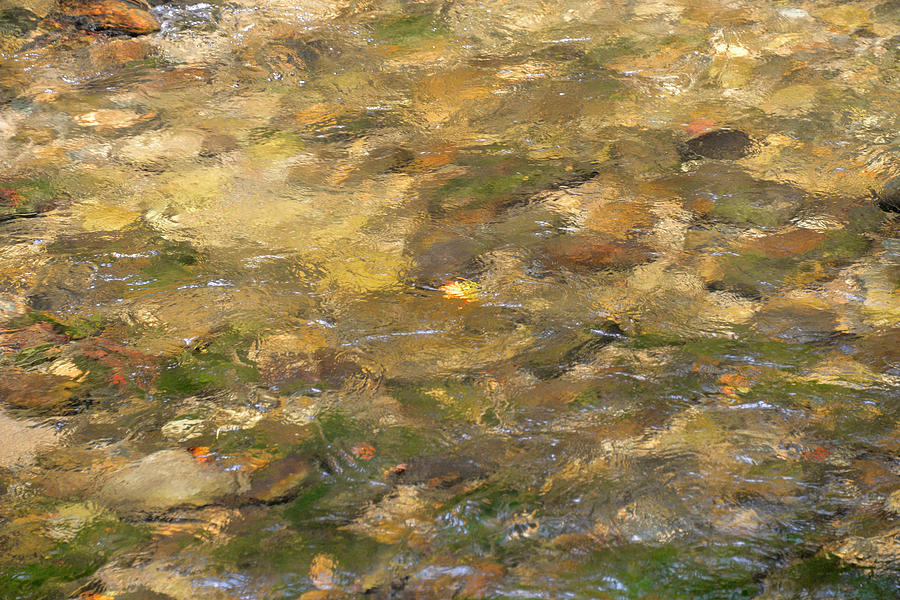 autum reflecion by Bill Hosford autum reflecion by Bill Hosford