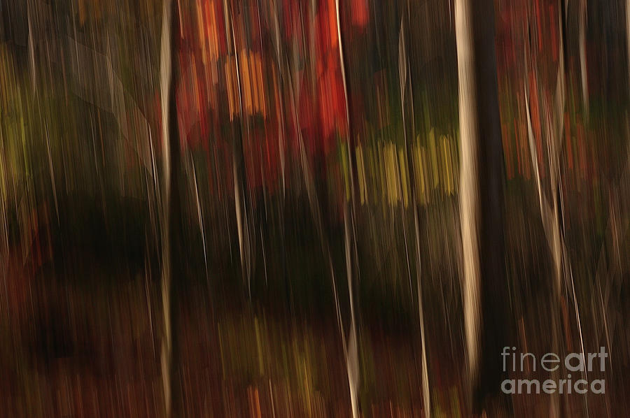 Autumn Abstract #5 by Randy Pollard Autumn Abstract #5 by Randy Pollard