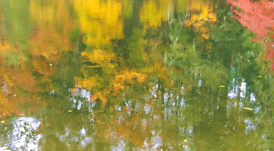 Autumn Abstract Photograph by Fred Bailey