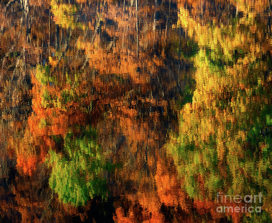 Autumn abstract Photograph by Izet Kapetanovic