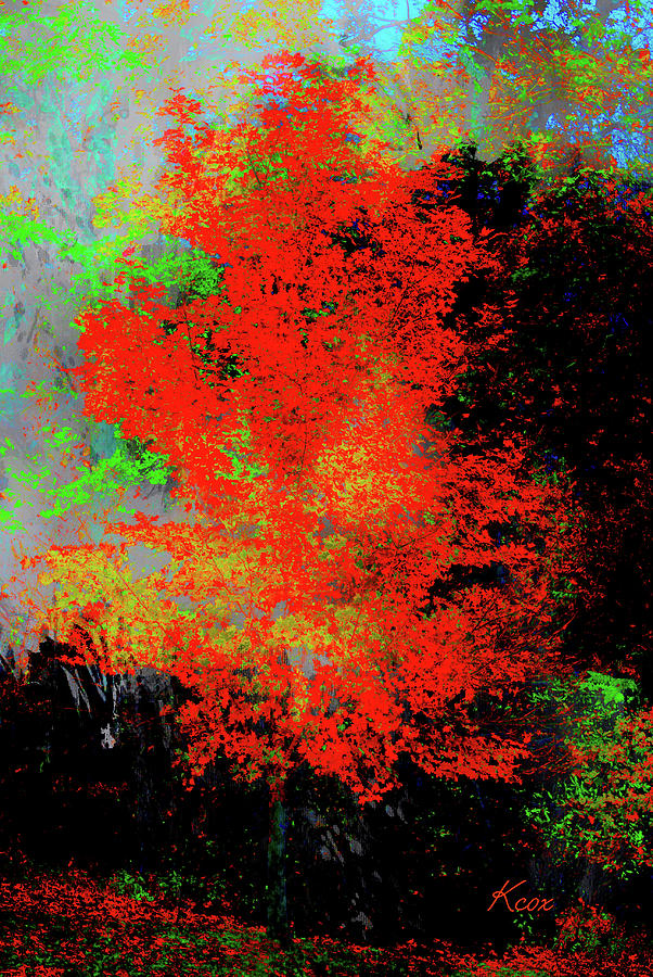 Autumn Abstract Digital Art by Linda Cox