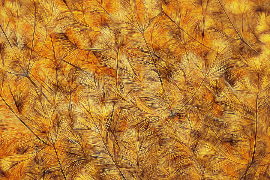 Abstract Photograph - Autumn Abstract by Lucie Gagnon