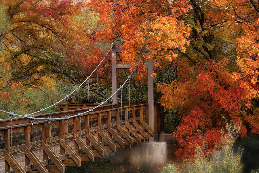 Autumn Across The Bridge  Photograph by Saija Lehtonen