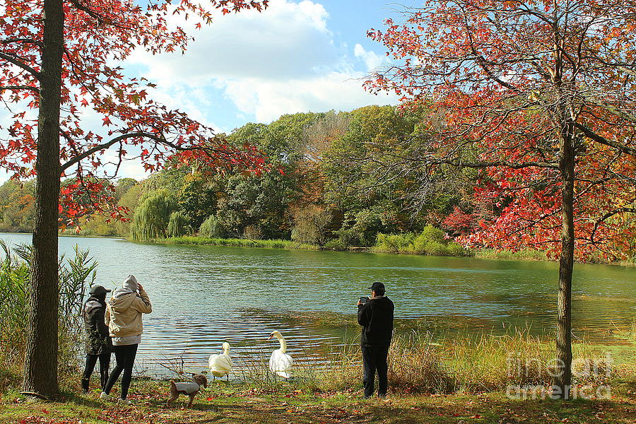 Autumn Afternoon by the Lake Photograph by Dora Sofia Caputo