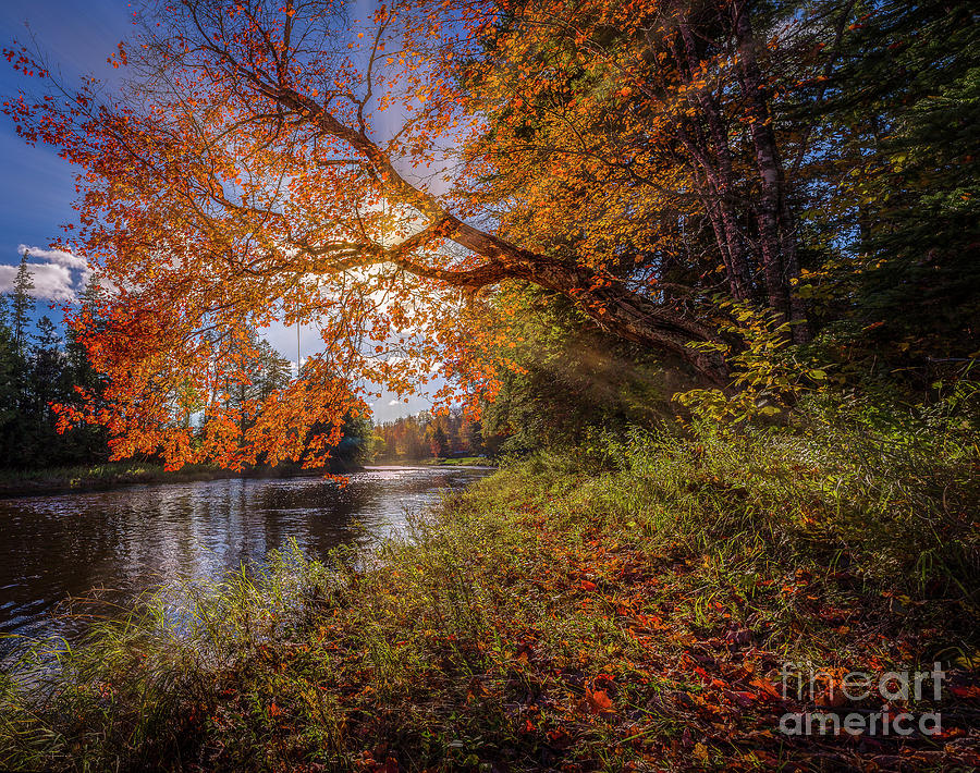 Autumn Aglow In Stewiacke River Park, Nova Scotia Photograph By Mike 