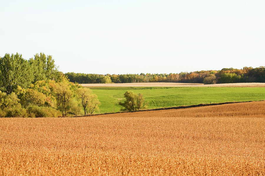 Autumn Agricultural Landscape Photograph by Skhoward