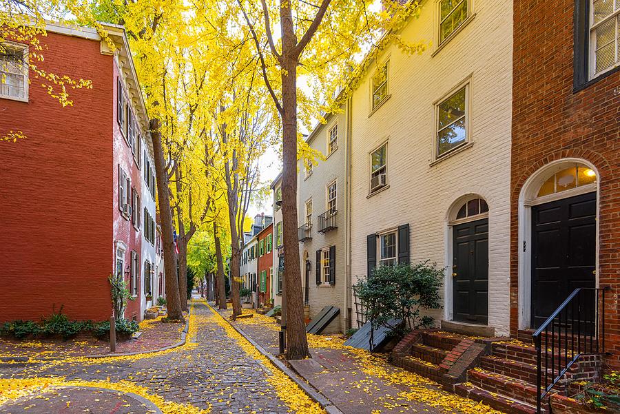 Tree Photograph - Autumn Alleyway In A Traditional by Sean Pavone