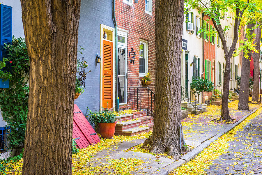 Tree Photograph - Autumn Alleyway In Philadelphia by Sean Pavone