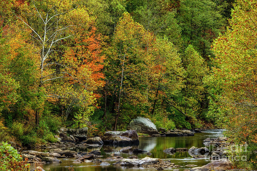 Autumn along the Cherry River Photograph by Thomas R Fletcher