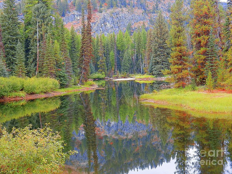 Autumn Along The Way Payette National Forest Photograph By Art Sandi ...