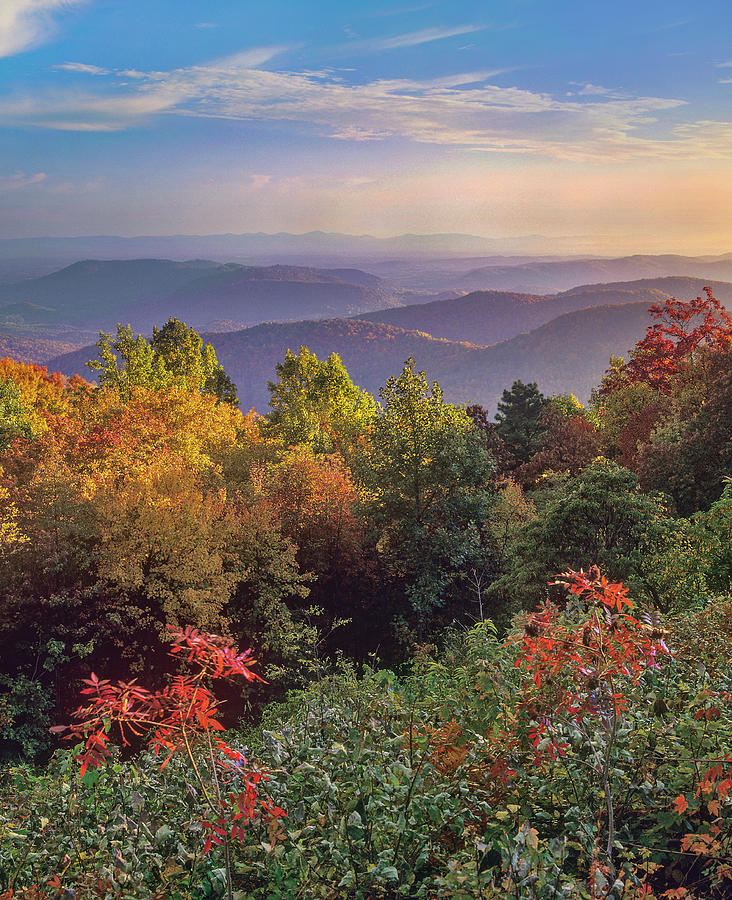 Autumn And The Blue Ridge Photograph by Tim Fitzharris