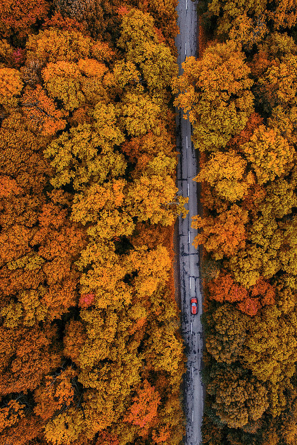 Autumn Photograph by Anton Shvain - Fine Art America