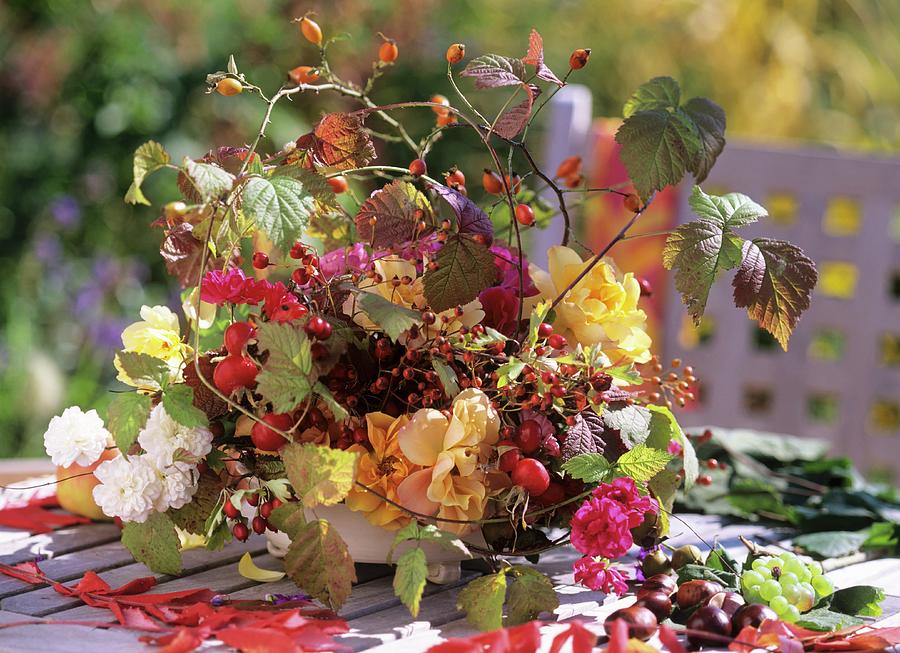 Autumn Arrangement: Bowl With Florists Foam, Roses, Rose Hips Photograph by Friedrich Strauss