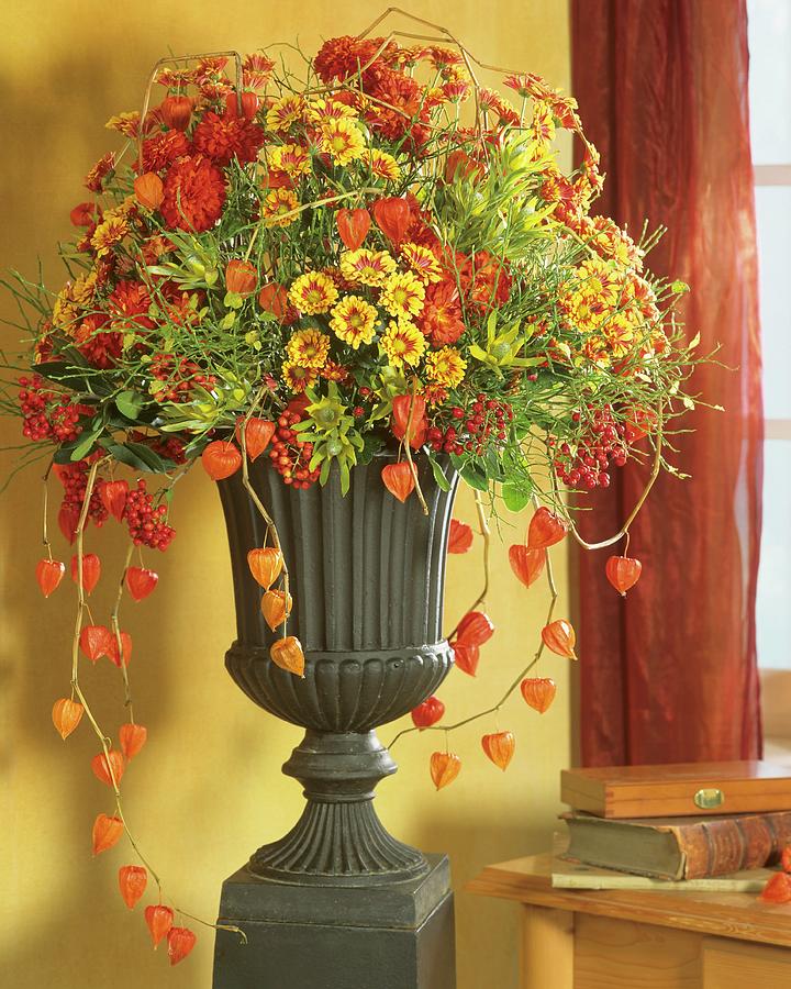 Autumn Arrangement Of Chrysanthemums & Chinese Lanterns Photograph by Friedrich Strauss