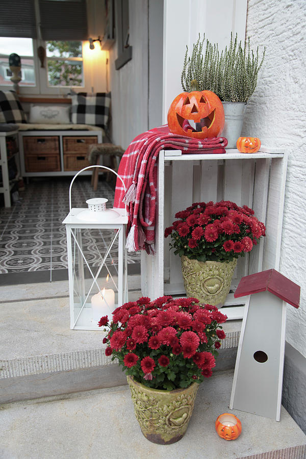 Autumn Arrangement Of Chrysanthemums, Pumpkins And Lantern Photograph by Sonja Zelano