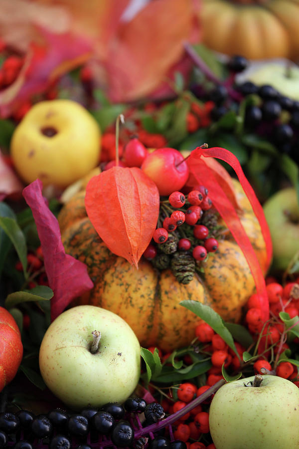 Autumn Arrangement Of Pumpkin, Apples, Rowan Berries And Physalis Seed Pod Photograph by Sonja Zelano