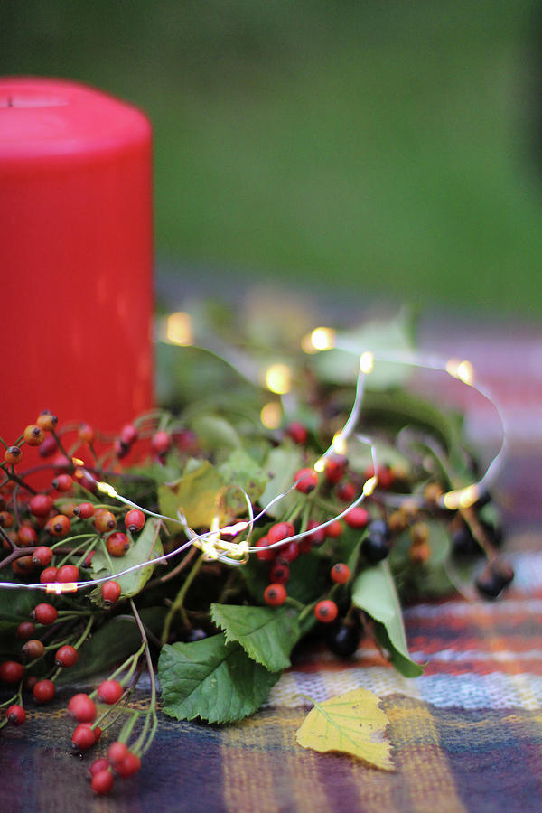 Autumn Arrangement Of Sprigs Of Berries, Fairy Lights And Candle Photograph by Sylvia E.k Photography